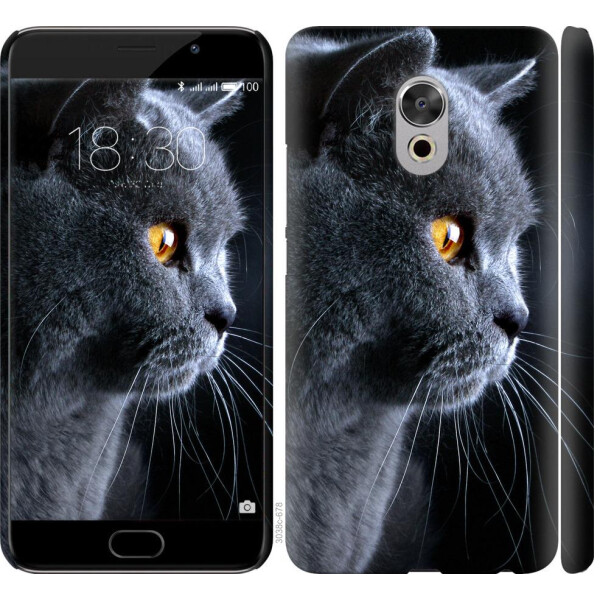 

Чехол на Meizu Pro 6 Plus Красивый кот (04798)