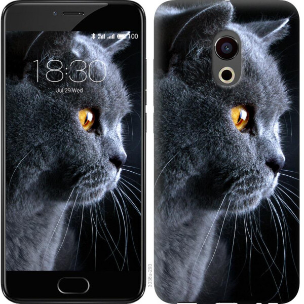 

Чехол на Meizu Pro 6 Красивый кот (04798)