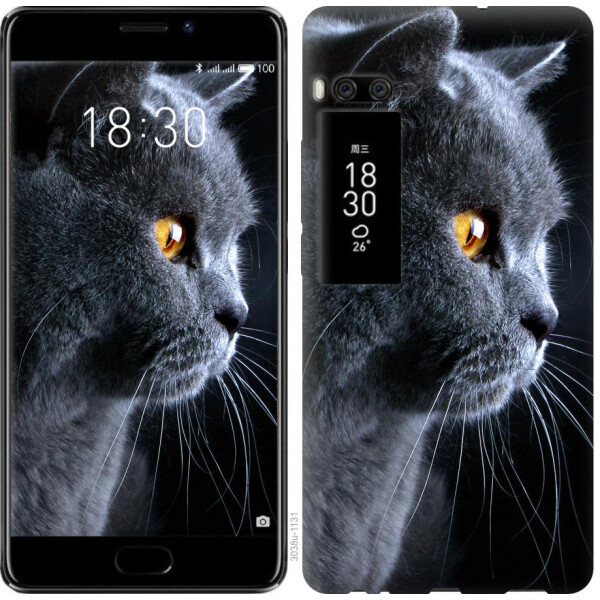 

Чехол на Meizu Pro 7 Plus Красивый кот (04798)
