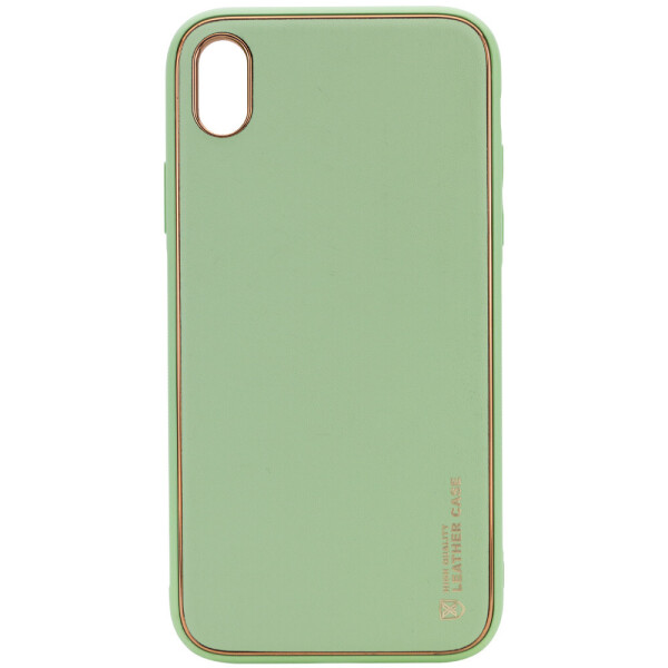 

Кожаный чехол Xshield для Apple iPhone X / XS (5.8") Мятный / Mint (is_00000038062_2)