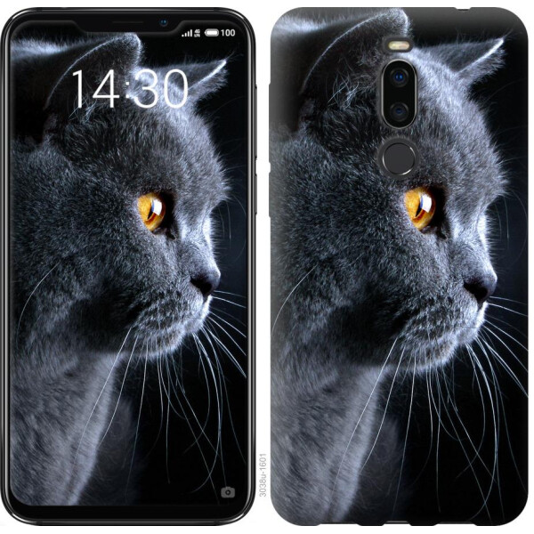 

Чехол на Meizu X8 Красивый кот (04798)