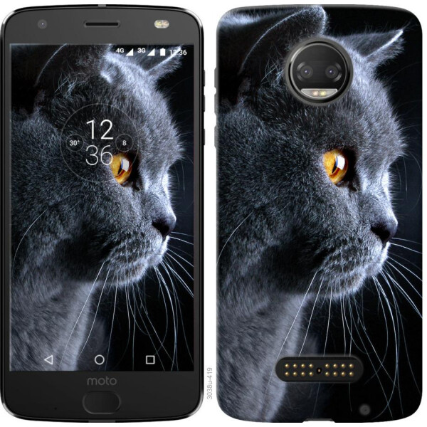 

Чехол на Motorola Moto G5 PLUS Красивый кот (04798)