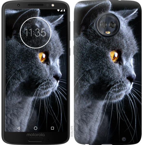 

Чехол на Motorola Moto G6 Plus Красивый кот (04798)