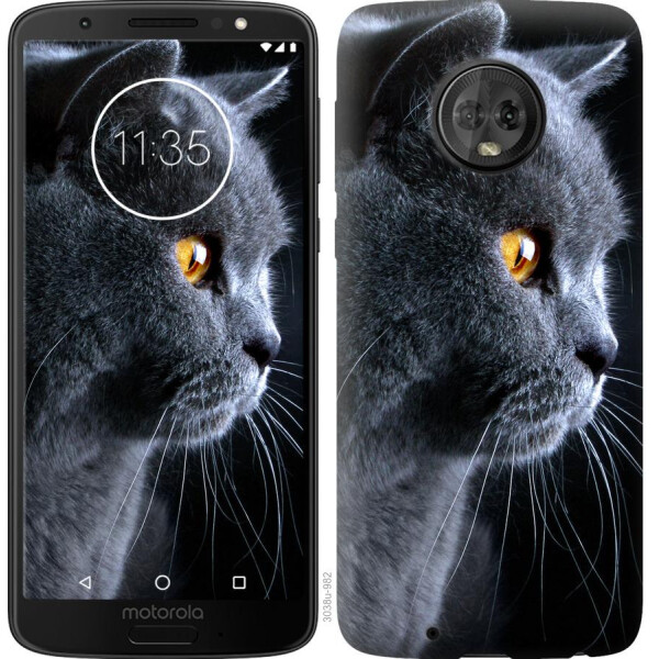 

Чехол на Motorola Moto G6 Красивый кот (04798)