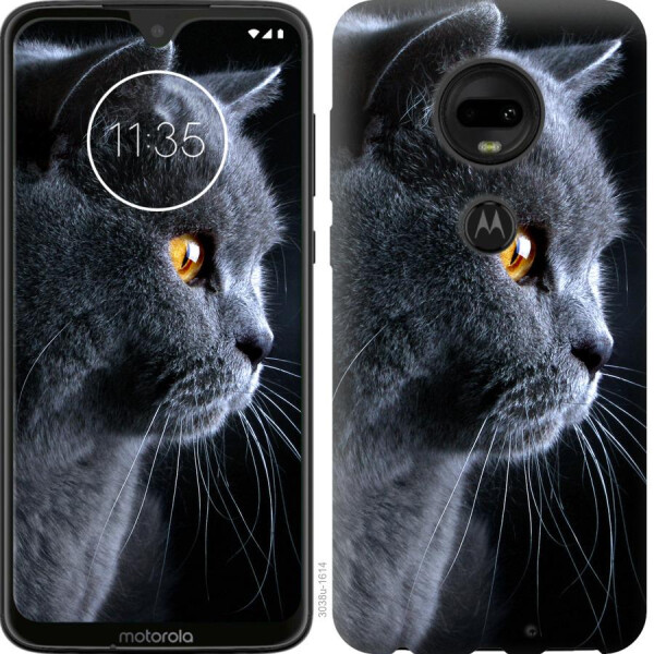 

Чехол на Motorola Moto G7 Красивый кот (04798)