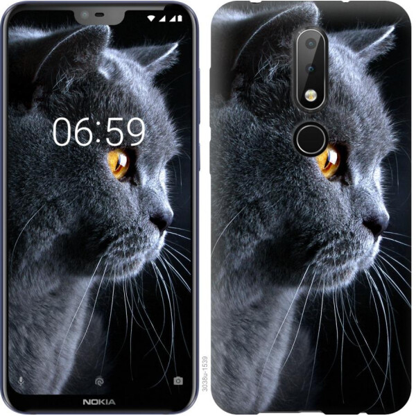 

Чехол на Nokia 6.1 Plus Красивый кот (04798)