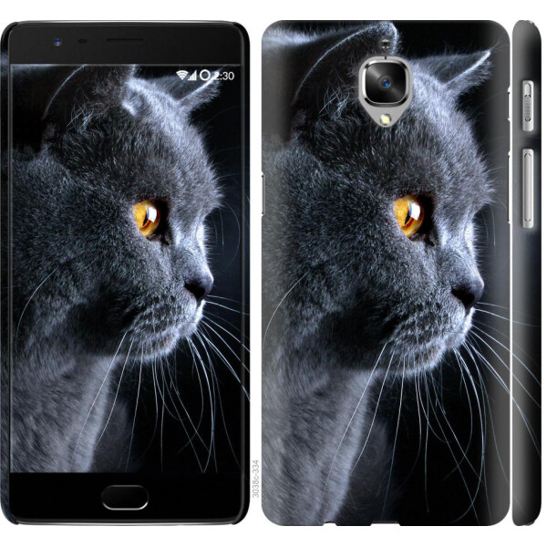 

Чехол на OnePlus 3 Красивый кот (04798)