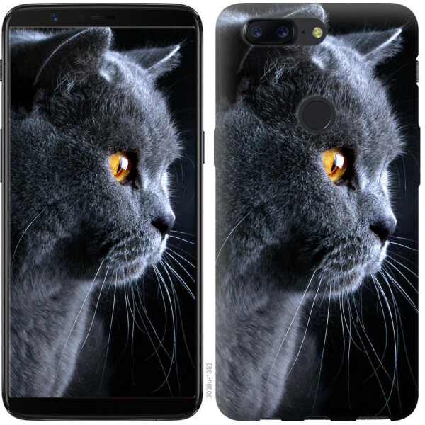 

Чехол на OnePlus 5T Красивый кот (04798)