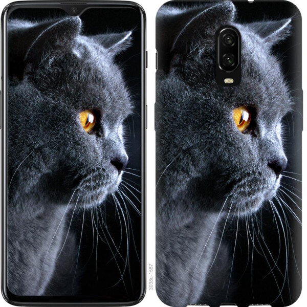 

Чехол на OnePlus 6T Красивый кот (04798)