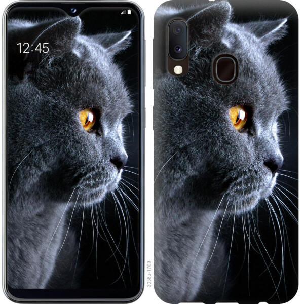 

Чехол на Samsung Galaxy A10s A107F Красивый кот (04798)