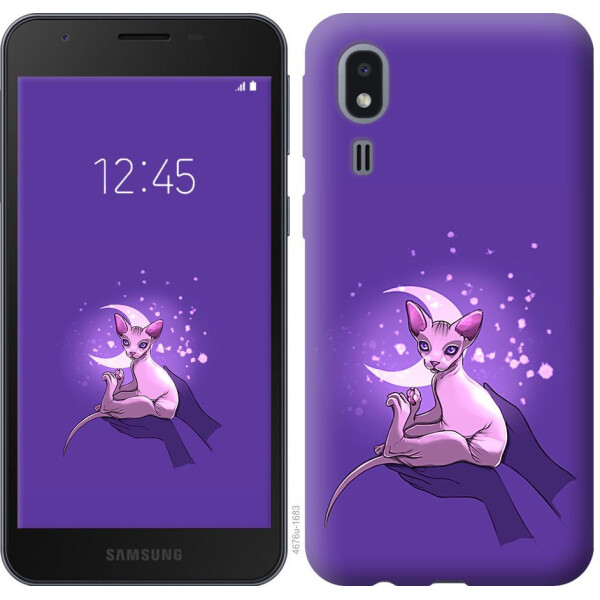 

Чехол на Samsung Galaxy A2 Core A260F Кот2 (04798)