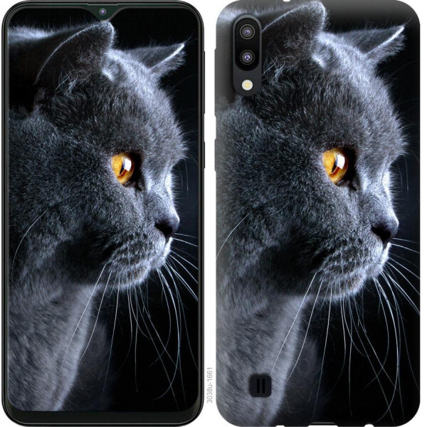 

Чехол на Samsung Galaxy A2 Core A260F Красивый кот (04798)