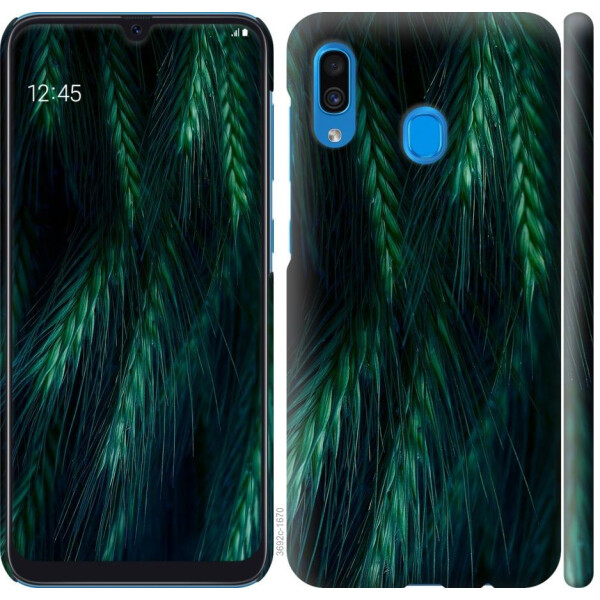 

Чехол на Samsung Galaxy A20 2019 A205F Колоски (04798)