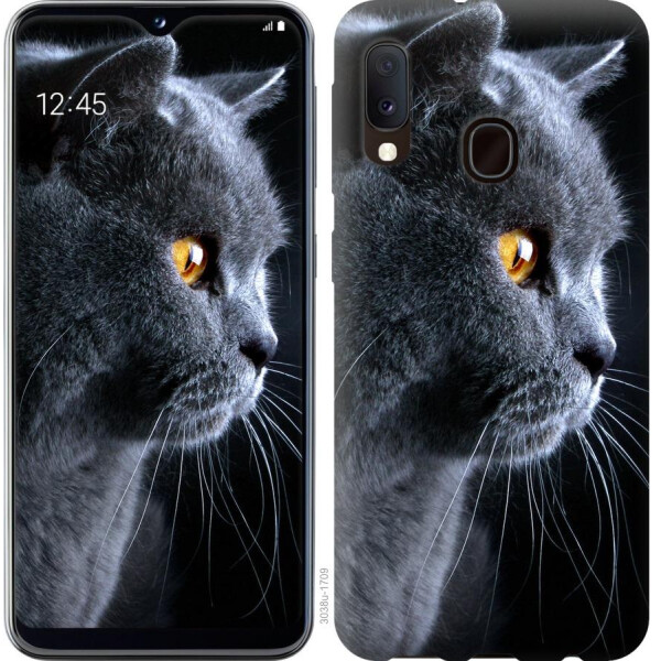 

Чехол на Samsung Galaxy A20e A202F Красивый кот (04798)