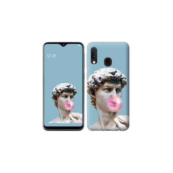 

Чехол на Samsung Galaxy A20e A202F Микеланджело (04798)