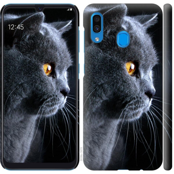 

Чехол на Samsung Galaxy A30 2019 A305F Красивый кот (04798)