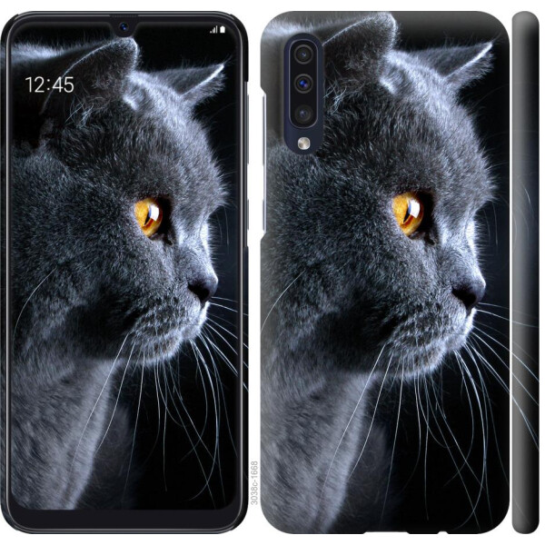 

Чехол на Samsung Galaxy A30s A307F Красивый кот (04798)