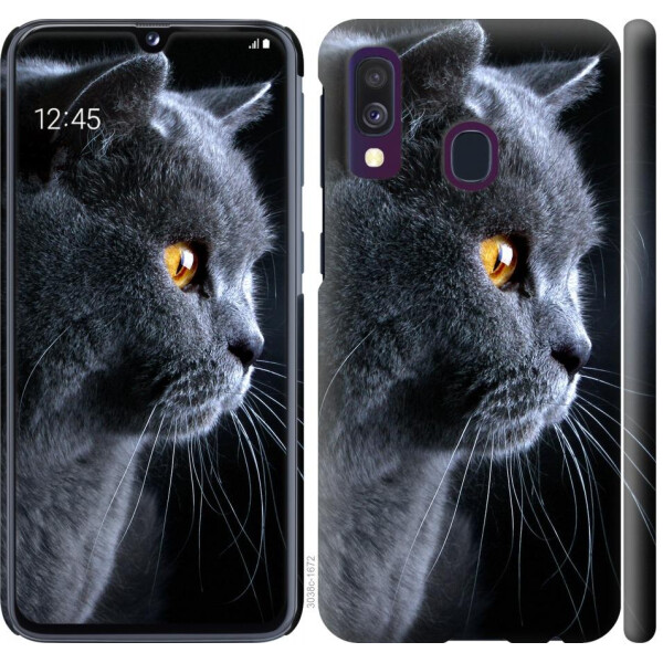 

Чехол на Samsung Galaxy A40 2019 A405F Красивый кот (04798)