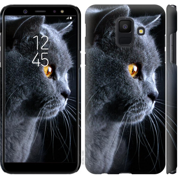 

Чехол на Samsung Galaxy A6 2018 Красивый кот (04798)