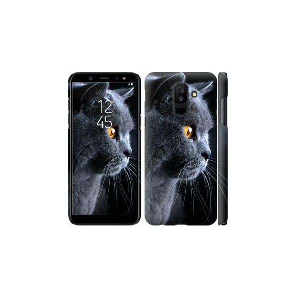 

Чехол на Samsung Galaxy A6 Plus 2018 Красивый кот (04798)