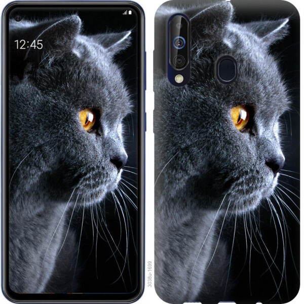 

Чехол на Samsung Galaxy A60 2019 A606F Красивый кот (04798)