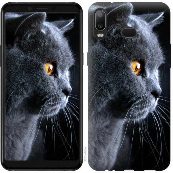 

Чехол на Samsung Galaxy A6s Красивый кот (04798)