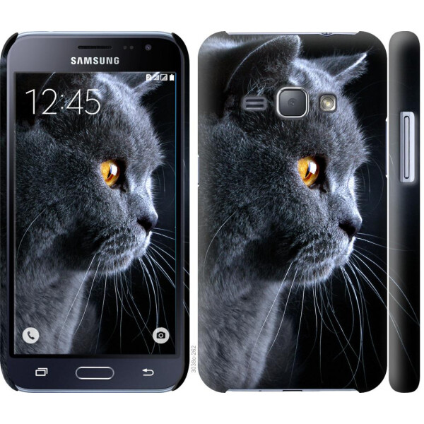 

Чехол на Samsung Galaxy J1 (2016) Duos J120H Красивый кот (04798)