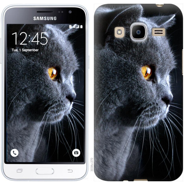 

Чехол на Samsung Galaxy J2 (2016) J210 Красивый кот (04798)