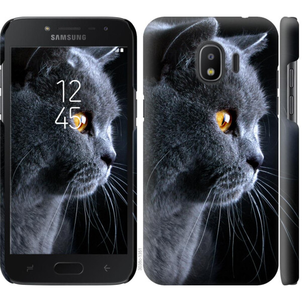 

Чехол на Samsung Galaxy J2 2018 Красивый кот (04798)