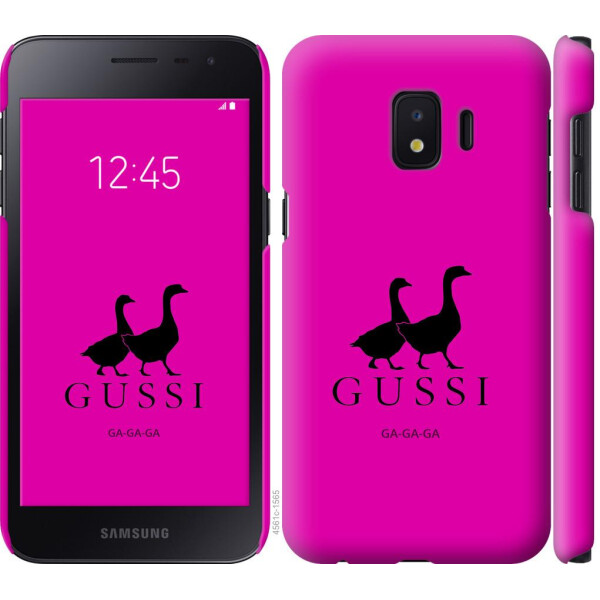 

Чехол на Samsung Galaxy J2 Core Гуси (04798)