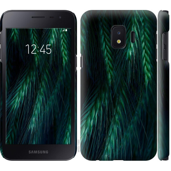 

Чехол на Samsung Galaxy J2 Core Колоски (04798)