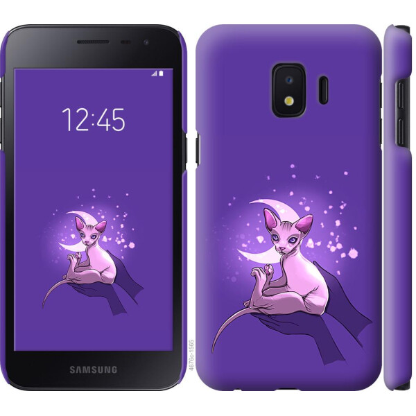 

Чехол на Samsung Galaxy J2 Core Кот2 (04798)