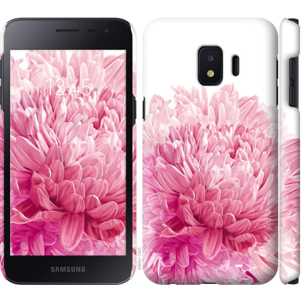 

Чехол на Samsung Galaxy J2 Core Хризантема (04798)