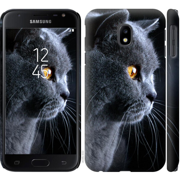 

Чехол на Samsung Galaxy J3 (2017) Красивый кот (04798)