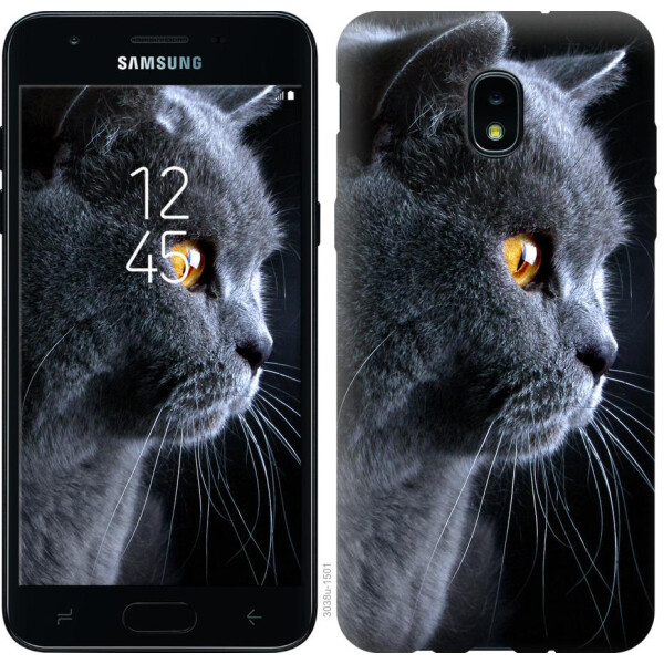 

Чехол на Samsung Galaxy J3 2018 Красивый кот (04798)