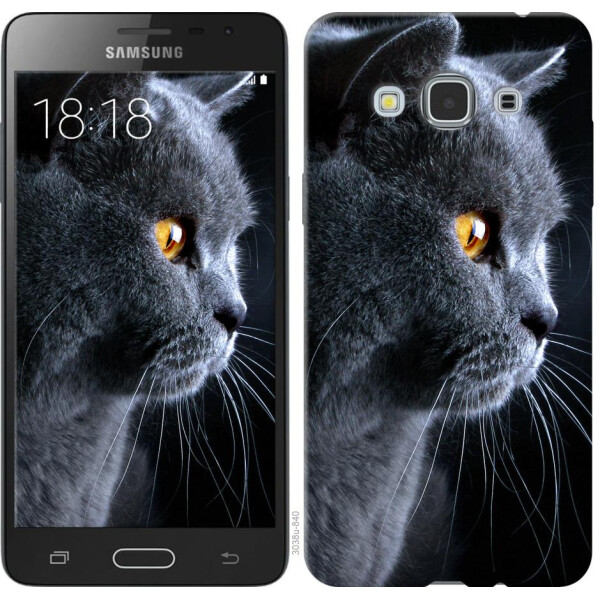 

Чехол на Samsung Galaxy J3 Pro Красивый кот (04798)