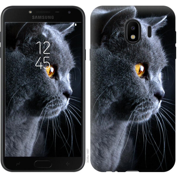 

Чехол на Samsung Galaxy J4 2018 Красивый кот (04798)