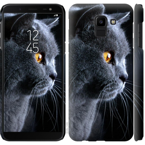 

Чехол на Samsung Galaxy J6 2018 Красивый кот (04798)