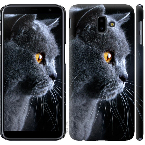 

Чехол на Samsung Galaxy J6 Plus 2018 Красивый кот (04798)