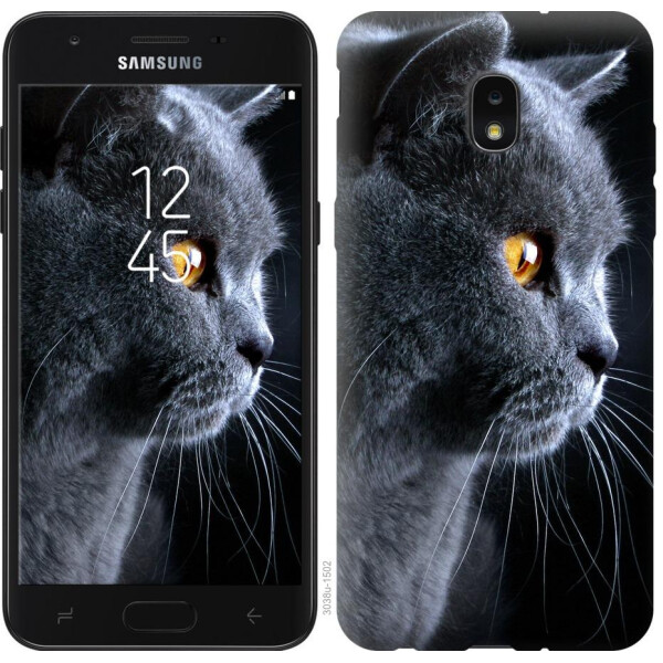 

Чехол на Samsung Galaxy J7 2018 Красивый кот (04798)