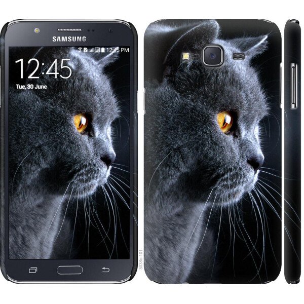 

Чехол на Samsung Galaxy J7 J700H Красивый кот (04798)