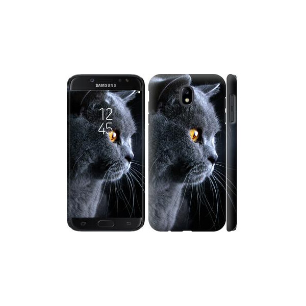 

Чехол на Samsung Galaxy J7 J730 (2017) Красивый кот (04798)