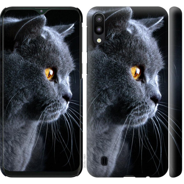 

Чехол на Samsung Galaxy M10 Красивый кот (04798)