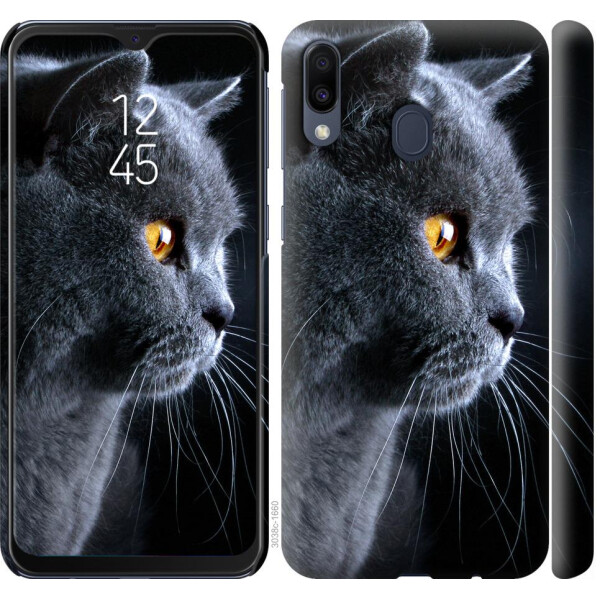 

Чехол на Samsung Galaxy M20 Красивый кот (04798)