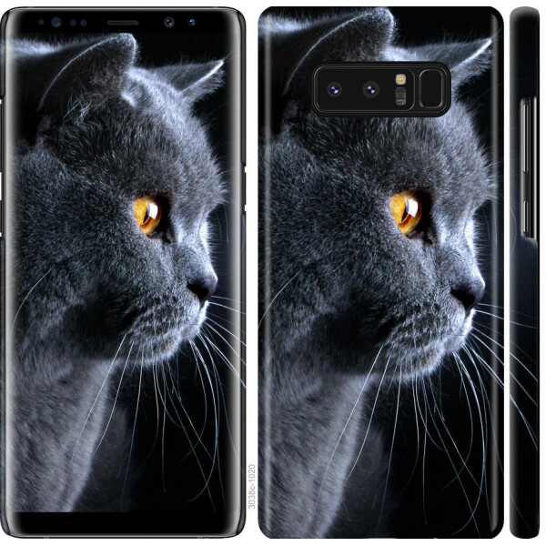 

Чехол на Samsung Galaxy Note 8 Красивый кот (04798)