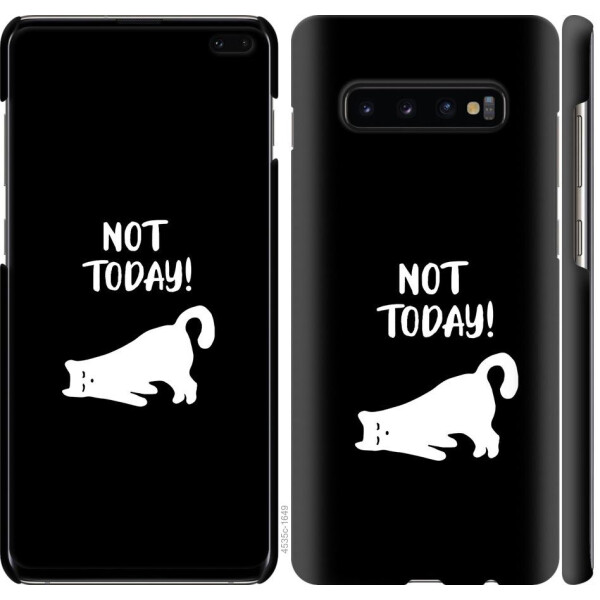 

Чехол на Samsung Galaxy S10 Plus Уставший кот (04798)