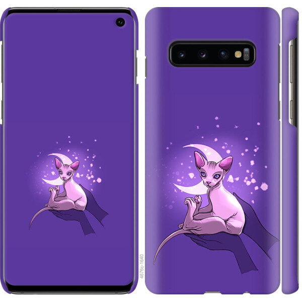 

Чехол на Samsung Galaxy S10 Кот2 (04798)