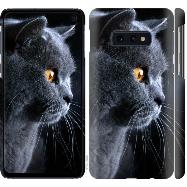 

Чехол на Samsung Galaxy S10e Красивый кот (04798)