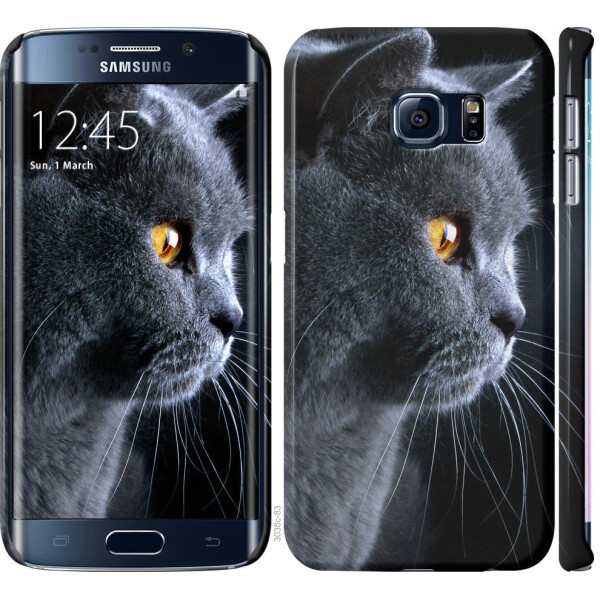 

Чехол на Samsung Galaxy S6 Edge G925F Красивый кот (04798)