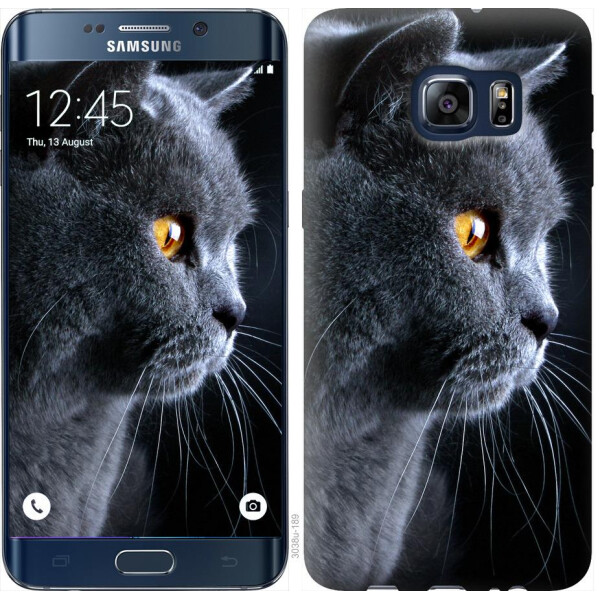 

Чехол на Samsung Galaxy S6 Edge Plus G928 Красивый кот (04798)
